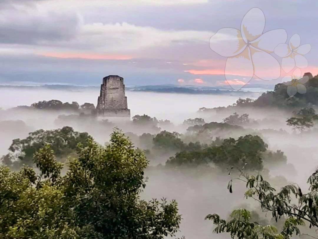 Amina Inn Flores Luaran gambar